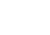 BESOFT logo — official API33 lion arena slot catalog vendor