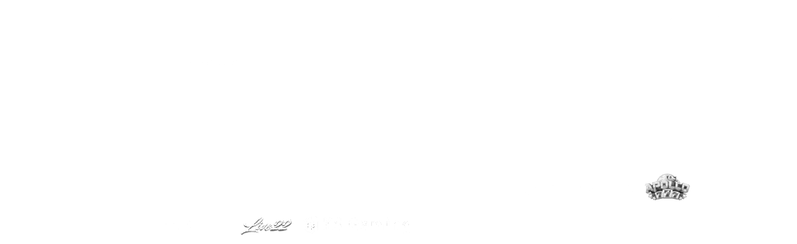 Row of official API33 trusted vendor logos — gold lion slots, premium casino, trusted sportsbook